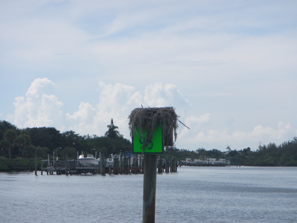 Grosses Nest auf der 95 Grosses Nest auf der 95