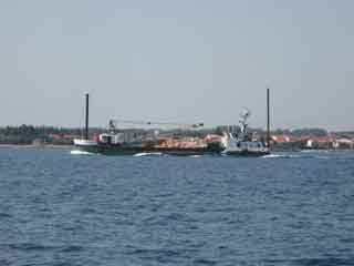 Kollegen im Anmarsch Kollegen im Anmarsch