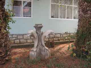 Jasmin's Delfine Jasmin's Delfine