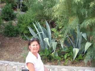 Schöne Aloevera Schöne Aloevera