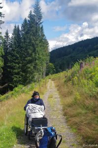 Schöner Weg nach Bärental