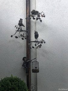 Ein Kunstwerk am Regenfallrohr