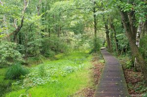 Wirklich gut angelegt