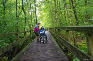 Wegen beim toten Moor