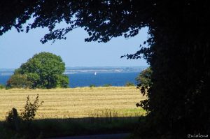 Blick auf die Insel Fünen