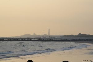 Mystische Stimmung am Wasser