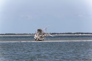 Windige Sache, aber trotzdem wunderschön