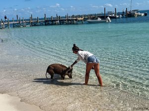Sie kommen sogar ins Wasser, ungern